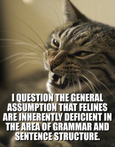 Anti-LOLcat The Anti-LOLcat tries to make fun of standard LOLcat conventions