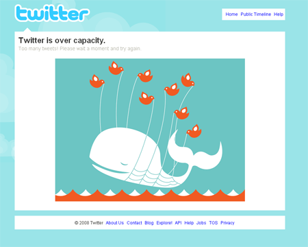 Twitter and the Whale Am I the whale or the birds?
