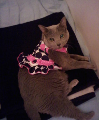 Minka's Sweet Sixteen Minka's Sweet Sixteen