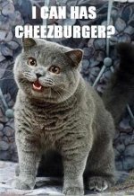 I CAN HAS CHEEZBURGER?